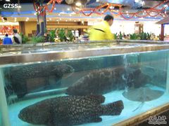 -渔民新村(番禺总店)