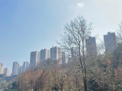 -重庆彩云湖湿地公园