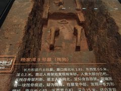 -盘龙城国家考古遗址公园