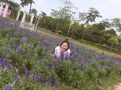 -广东花都香草世界旅游度假区
