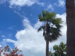 -椰风寨