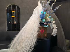 -滇野云南野生菌餐厅(陕西南路店)