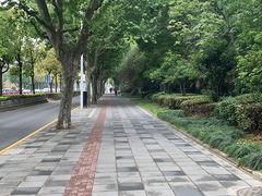 -小厨娘淮扬菜(六合欢乐港店)