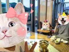 -慢丽江·云南野生菌土鸡锅(西山店)