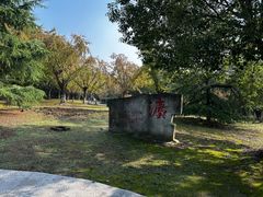 -澹台湖公园