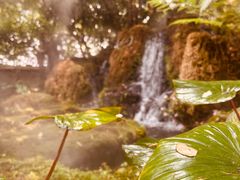 -Chom Cafe and Restaurant