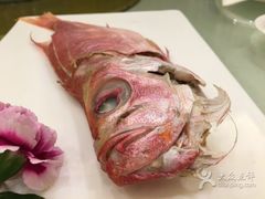 -潮府馆·非遗潮州菜·港式点心(世纪公园店)
