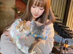 -J Create城市露营咖啡·简餐·宠物(上海动物园店)