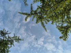 -朝阳公园