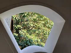 -水绘园