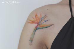 -飛凡TATTOO纹身•原创