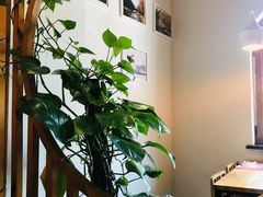 -新兴园饺子馆(北京百子湾店)