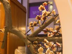 -不凡脑禅境·养生·舒压调理SPA(华发世纪城店)