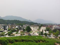 -龙坞茶村