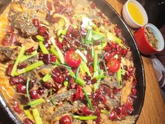 -老板恋上鱼(高新万达店)