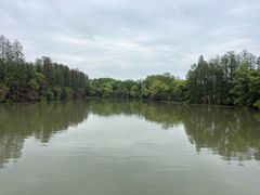 -东湖落雁景区