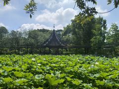 -上海醉白池公园