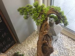 -王守财小山園