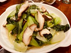 香菇青菜-生蚝园