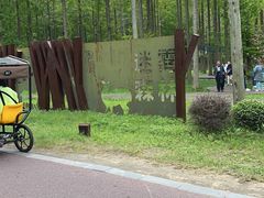 -黄海国家森林公园