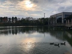 -上海怡沁园度假酒店