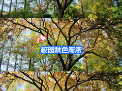 -苏州大学(天赐庄校区)