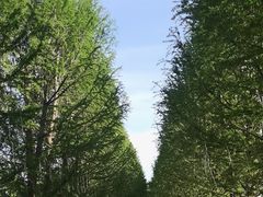 -嘉北郊野公园