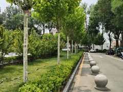 -中国人民武装警察部队特色医学中心