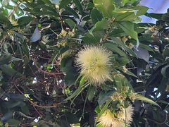 -北京植物园-展览温室