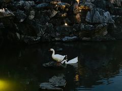 -朝阳菜场(白塔西路店)