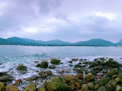 -西涌国际滨海旅游区