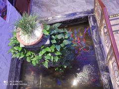 -蟹之国·精品蟹料理(极地店)