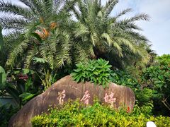 -八婆婆烧仙草(曾厝垵店)