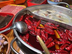 -杨校长·老成都串串香火锅(全国总店)