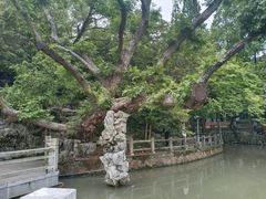 -汇龙潭