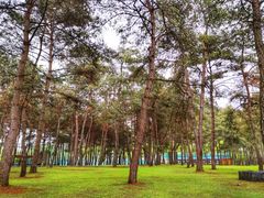 -Club Med地中海俱乐部·桂林度假村