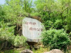 -白水寺森林公园