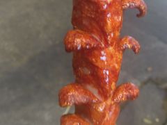 -黑色经典臭豆腐·湖南特产(太平街口店)