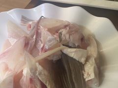 -源港渔村-中山脆肉鲩(博罗店)
