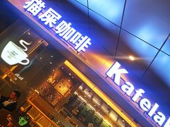 门面-猫屎咖啡(日月光中心广场店)