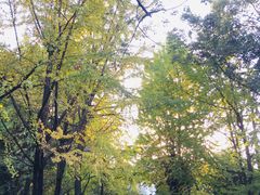 -四川大学(望江校区)