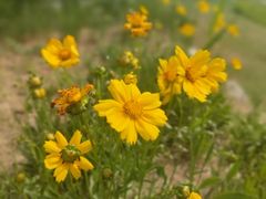 -汉长安城未央宫国家考古遗址公园