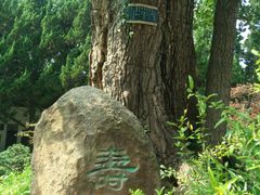 -苏州文庙(姑苏区)
