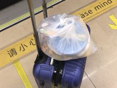 -上海南站