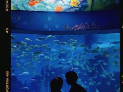 -泉城欧乐堡海洋极地世界