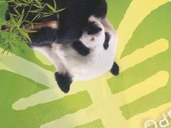 -眉州东坡(华联万柳店)