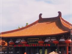 -神州牡丹园