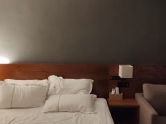 -老板恋上鱼(印象城店)