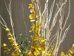 -厦门日月谷温泉渡假村