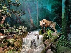 -武汉园博园(武汉自然博物馆)